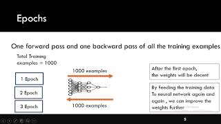 Epoch Batch Batch Size amp Iterations [upl. by Soilisav]