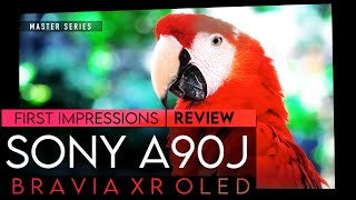 Sony A90J Worth It In 2022  XR Bravia Master Series OLED TV Review [upl. by Gherardo]