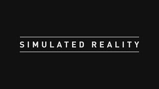 Simulated Reality [upl. by Zetroc601]