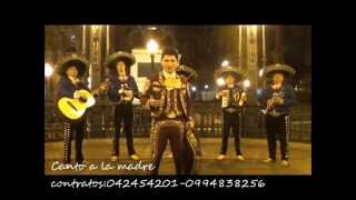 CANTO A LA MADRE MARIACHI  VASCO ANTARES [upl. by Sarson]