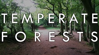 The Temperate Forest Biome  Biomes6 [upl. by Eicak]