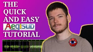 The Quick and Easy Aegisub Subtitle Tutorial [upl. by Neerhtak]