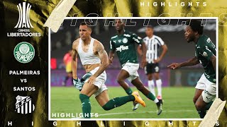 Palmeiras vs Santos  LIBERTADORES FINAL HIGHLIGHTS  1302021  beIN SPORTS USA [upl. by Harimas]