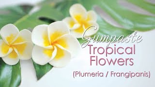 Gumpaste Plumeria  Frangipanis Tropical Flower Tutorial [upl. by Drofla]