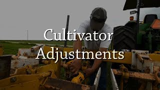 Cultivator Adjustments  Organic Weed Control [upl. by Nai599]