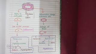 Membranoproliferative glomerulonephritis MPGN causes symptoms amp pathology [upl. by Peper]