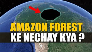 Amazon  Jungle  Largest Tropical Rainforest [upl. by Yves]