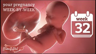 32 Weeks Pregnant  Natural Pregnancy WeekByWeek [upl. by Mali]