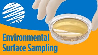 Environmental Surface Sampling Using Contact Agar Plates [upl. by Lennor]