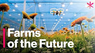 The Futuristic Farms That Will Feed the World  Freethink  Future of Food [upl. by Darin363]