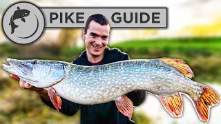 A Beginners Guide To Pike Fishing  Tactics Bait Lures Rigs and Unhooking [upl. by Carmine]