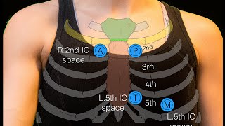 Sternal angle [upl. by Canale]