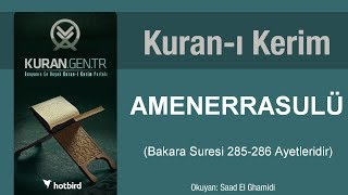 Amener rasulu Bakara suresi 285286 ayetleri amenerrasulu kurani kerim [upl. by Eciral893]