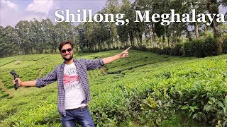 Shillong Tourist Places  Shillong Tour Plan  Shillong Tour Budget  Shillong Tour Guide Meghalaya [upl. by Angadresma]