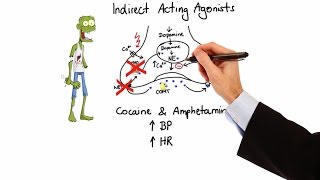 Pharmacology  ADRENERGIC RECEPTORS amp AGONISTS MADE EASY [upl. by Bradlee]