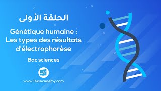 BAC  SVT  Génétique humaine Les types d’électrophorèse  EP01 [upl. by Siraf]