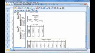 Calculating and Interpreting Cronbachs Alpha Using SPSS [upl. by Alaster]