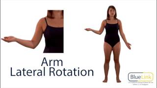 Arm Medial and Lateral Rotation [upl. by Munn]