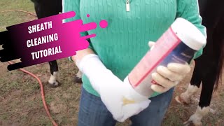 Sheath Cleaning Tutorial for Horses [upl. by Costello335]