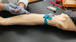 Phlebotomy Venipuncture Procedure [upl. by Giuliana]