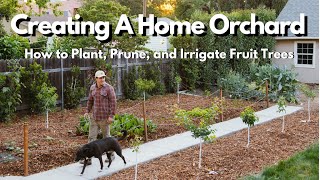 How to Plant Prune and Irrigate Fruit Trees EVERYTHING YOU NEED TO KNOW [upl. by Tarttan935]