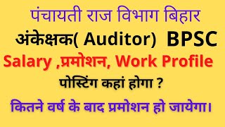 BPSC Auditor  Salary  Promotion Work Profile Posting Kaha Hoga [upl. by Alo723]