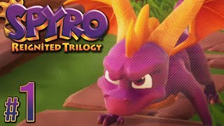 Spyro Reignited Trilogy Nintendo Switch  All 3 Games 100 Playthrough  PART 1 [upl. by Anauj]