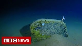 Mariana Trench Recordbreaking journey to the bottom of the ocean  BBC News [upl. by Aire]