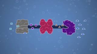 Enzymes Feedback Inhibition and Allosteric Regulation [upl. by Thurber]