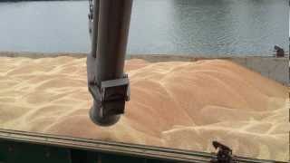 How to trim a Wheat cargo MV Swift [upl. by Darrin]