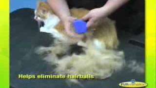 FURMINATOR DEMONSTRATION [upl. by Annhej]