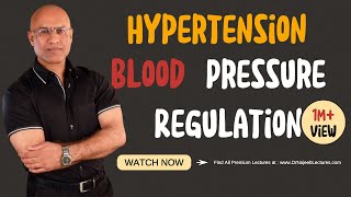 Hypertension  Blood Pressure Regulation  Hypotension [upl. by Hardden]