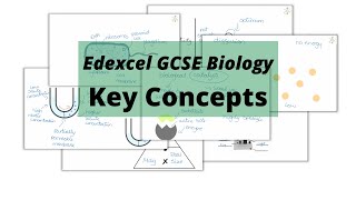 The WHOLE of Edexcel GCSE Biology KEY CONCEPTS [upl. by Einwahs]