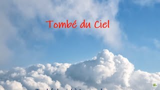 Tombé du Ciel  Jacques Higelin Paroles [upl. by Suelo201]