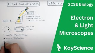 Electron vs Light Microscopes Explained  GCSE Biology  kaysciencecom [upl. by Sisak]