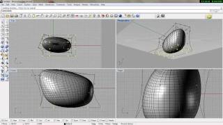 organic modeling with Rhinomp4 [upl. by Monique]