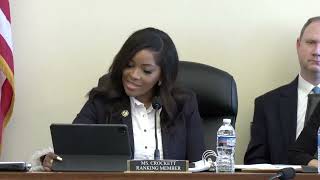 Ranking Member Jasmine Crockett delivers opening remarks [upl. by Cyndi209]