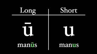 The Latin Alphabet  Vowel Pronunciation [upl. by Hanson]