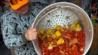 Cajuncrawfish field to table [upl. by Eillek]