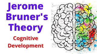 BRUNER Theory Of Cognitive Development  cognitive development theory by bruner [upl. by Kimberlyn]