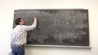 Inorganic Chemistry Molecular Orbital Theory  Homonuclear Diatomic Molecules [upl. by Rexer235]