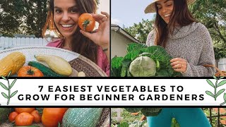 7 Easiest To Grow Vegetables For Beginners  Gardening 101 [upl. by Eidorb900]