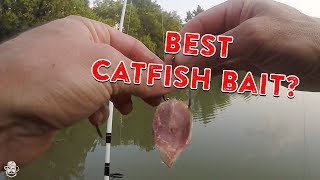 How To Catch Catfish From The Bank  Catfishing Bait Rigs amp Tips [upl. by Ecnaled279]