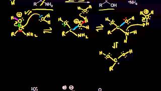 Acid and basecatalyzed hydrolysis of amides  Organic chemistry  Khan Academy [upl. by Namara208]