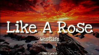 A1  Like A Rose Lyrics [upl. by Ahtnamas]