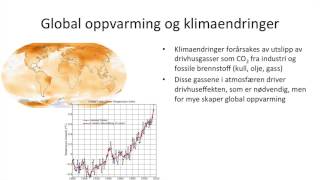 Samfunnsfag  Økonomisk vekst og bærekraftig utvikling [upl. by Johnny]