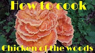 How to cook Chicken of the Woods Mushrooms [upl. by Ellertal]