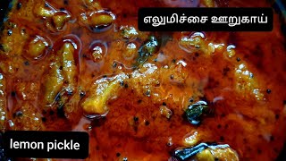 எலுமிச்சை ஊறுகாய்  Lemon Pickle recipe in Tamil  Elumichai Oorugai  Instant Lemon Pickle [upl. by Idorb]