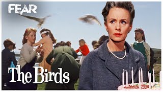 Seagulls Attack  The Birds 1963 [upl. by Eibrad]