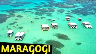 🔴 5 MELHORES PRAIAS de MARAGOGI ALAGOAS DRONE 🌅😎🌴 [upl. by Molloy]